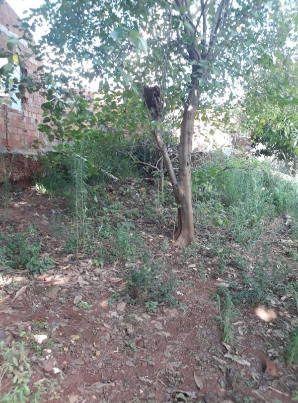 Imóvel urbano na quadra 21 do parque dom pedro i, 180m², sem edificação. localizado em umuarama/pr.