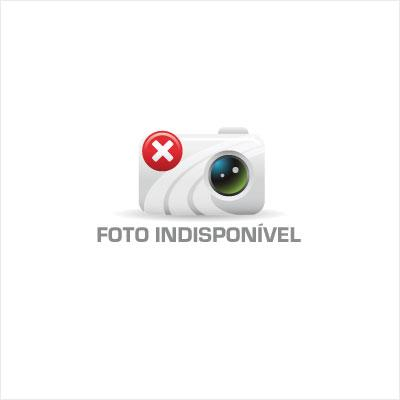 Nissan Versa 16SL 2012 Flex Prata Conservado