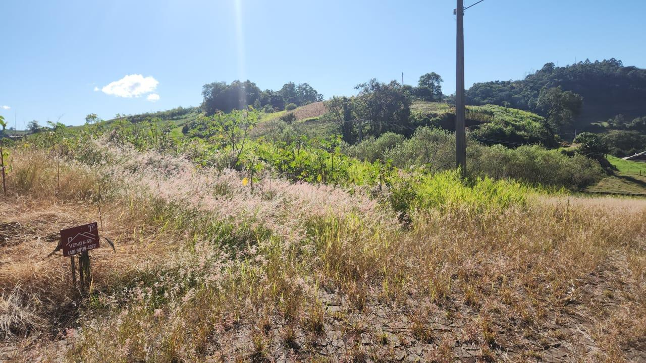 LOTE URBANO NÚMERO 30, DA QUADRA NÚMERO 310, COM ÁREA DE 630,00M² LOCALIZADO EM SÃO JOSÉ DO CEDRO - SC