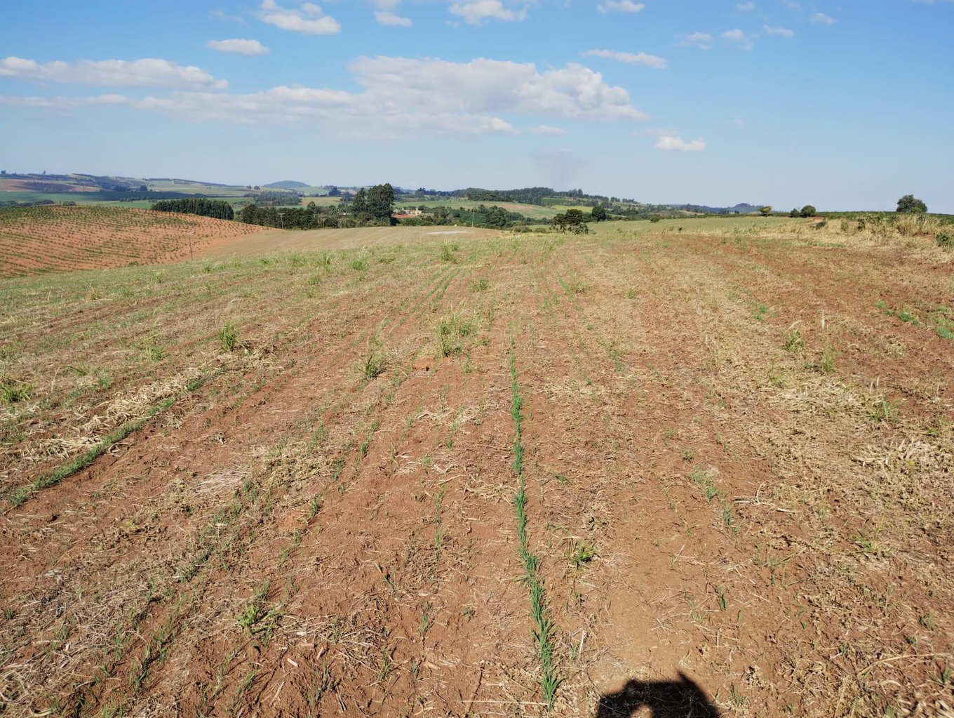 Área rural com área de 35,53 hectares - são jerônimo da serra/pr.