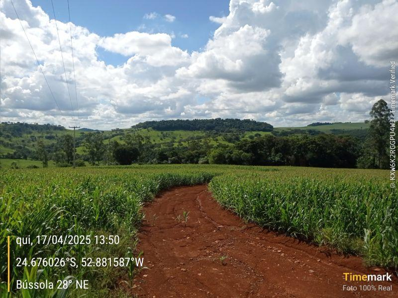 Imóvel rural com área de 60.500 m2 em campina da lagoa/pr
