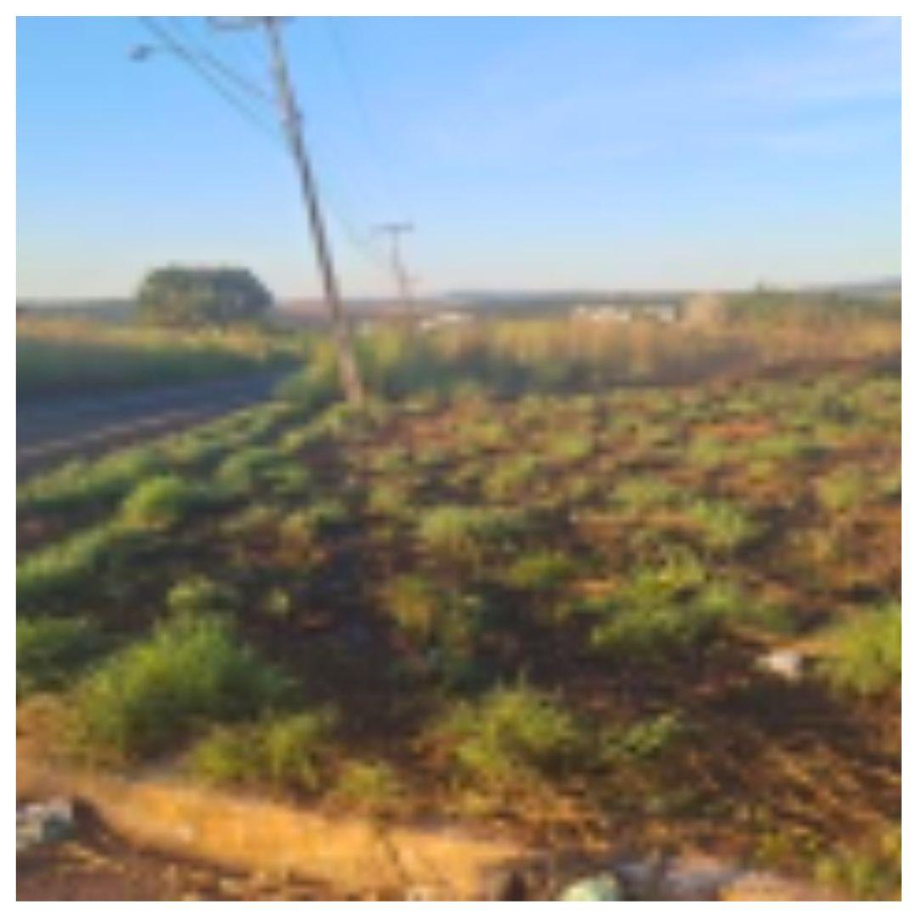LOTEAMENTO LAGOA QUENTE DE CALDAS NOVAS- COM ÁREA DE 1.000 M2- Em CALDAS NOVAS ¿ GO