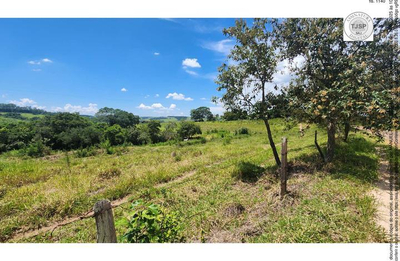 Imóvel rural, a.t. 382 ha, barreirinho (parte ideal 2,5888% ou 11,4 ha)